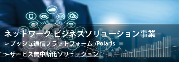 ネットワークビジネスソリューション事業